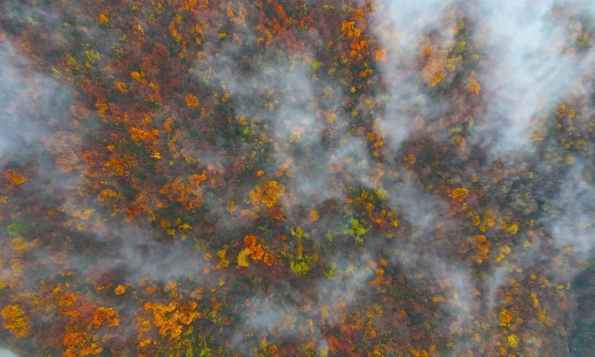 Kartpostallık g&ouml;r&uuml;nt&uuml;ler