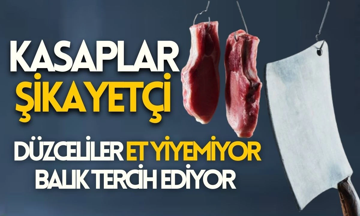 Kasaplar Şikayetçi Düzce'de Balık Tercihi