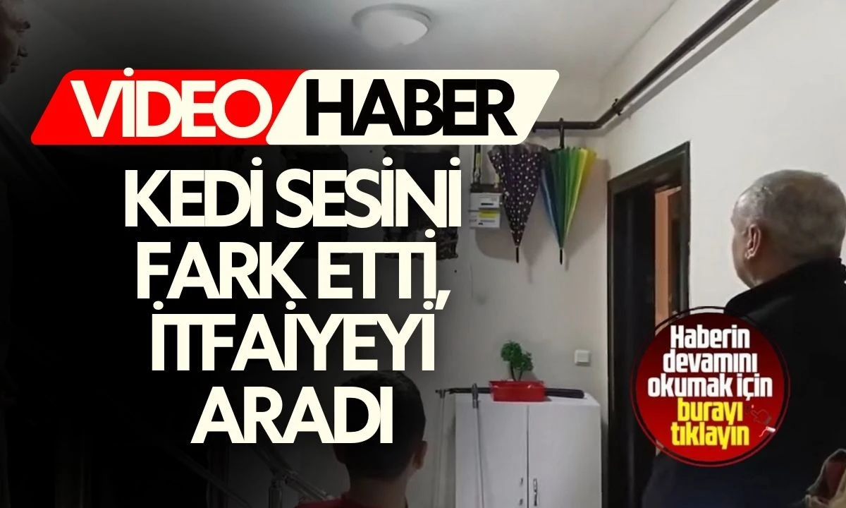 Kedi sesini fark etti, itfaiyeyi aradı