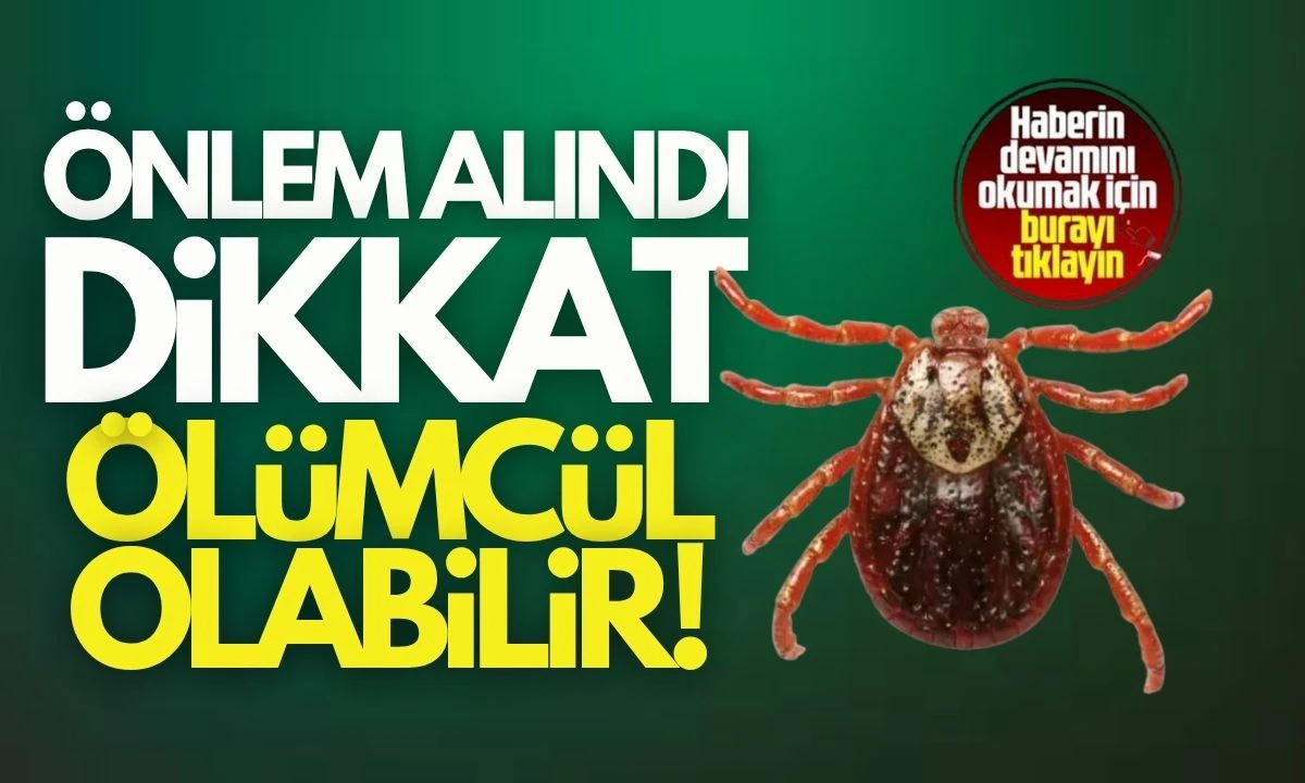 Kene Mücadelesi:Keneden nasıl korunulur? Ölümcül olabilir! 