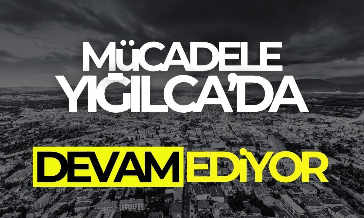 Kestane ağaçlarındaki gal zararıyla savaş: böcek salımı devam ediyor