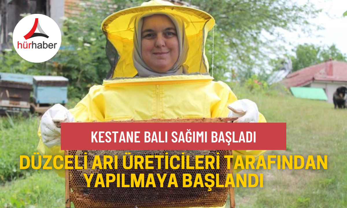 Kestane balı sağımı başladı