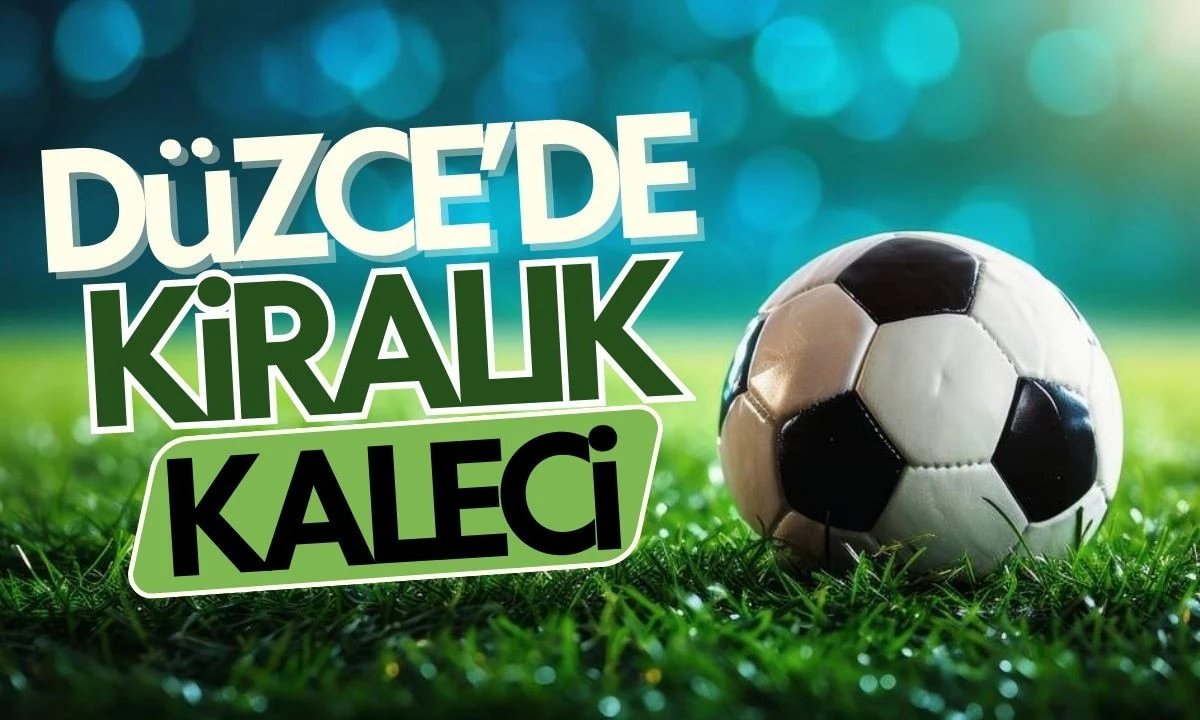 Kiralık kaleci:ilgin&ccedil; gelir kapısı 