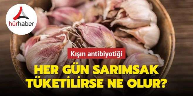 Kışın antibiyotiği sarımsağın bilinmeyen faydaları! Her gün sarımsak tüketilirse ne olur?