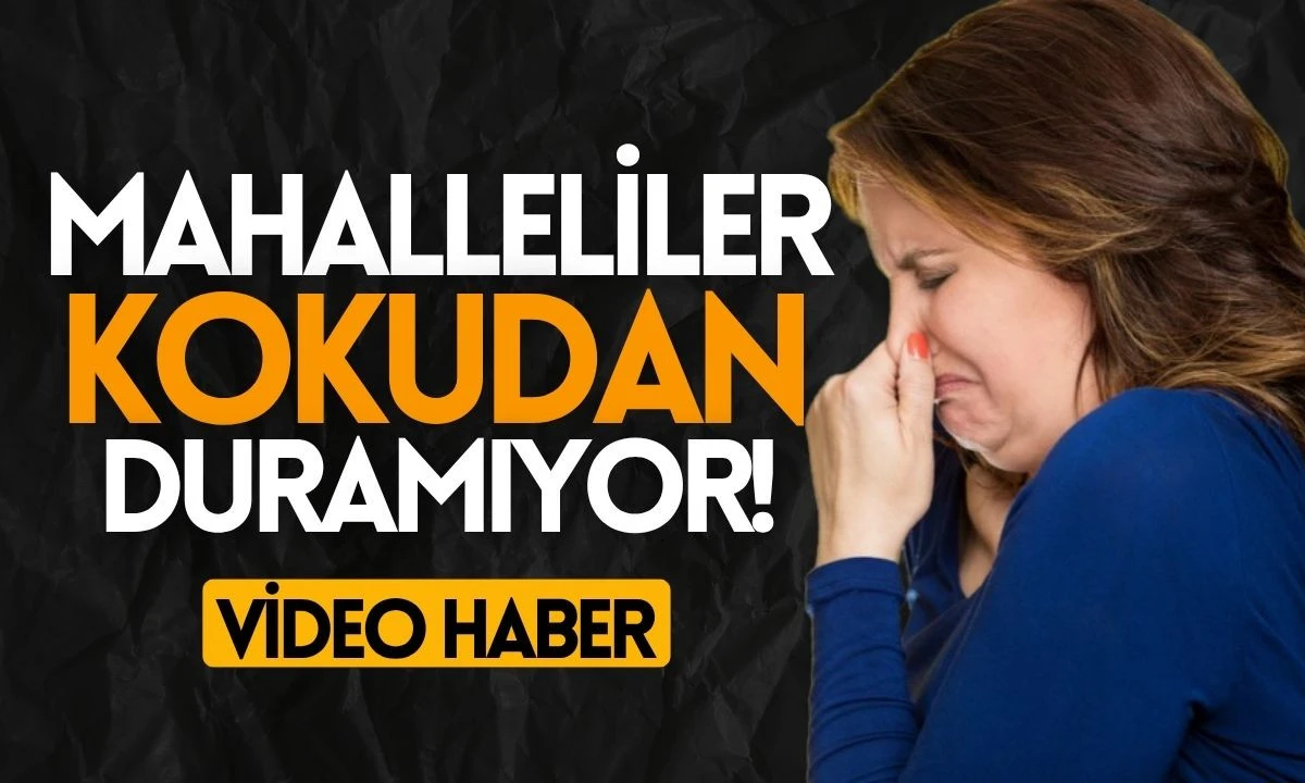 Koku mahalleye eziyet oldu!Çözüm bekleniyor 