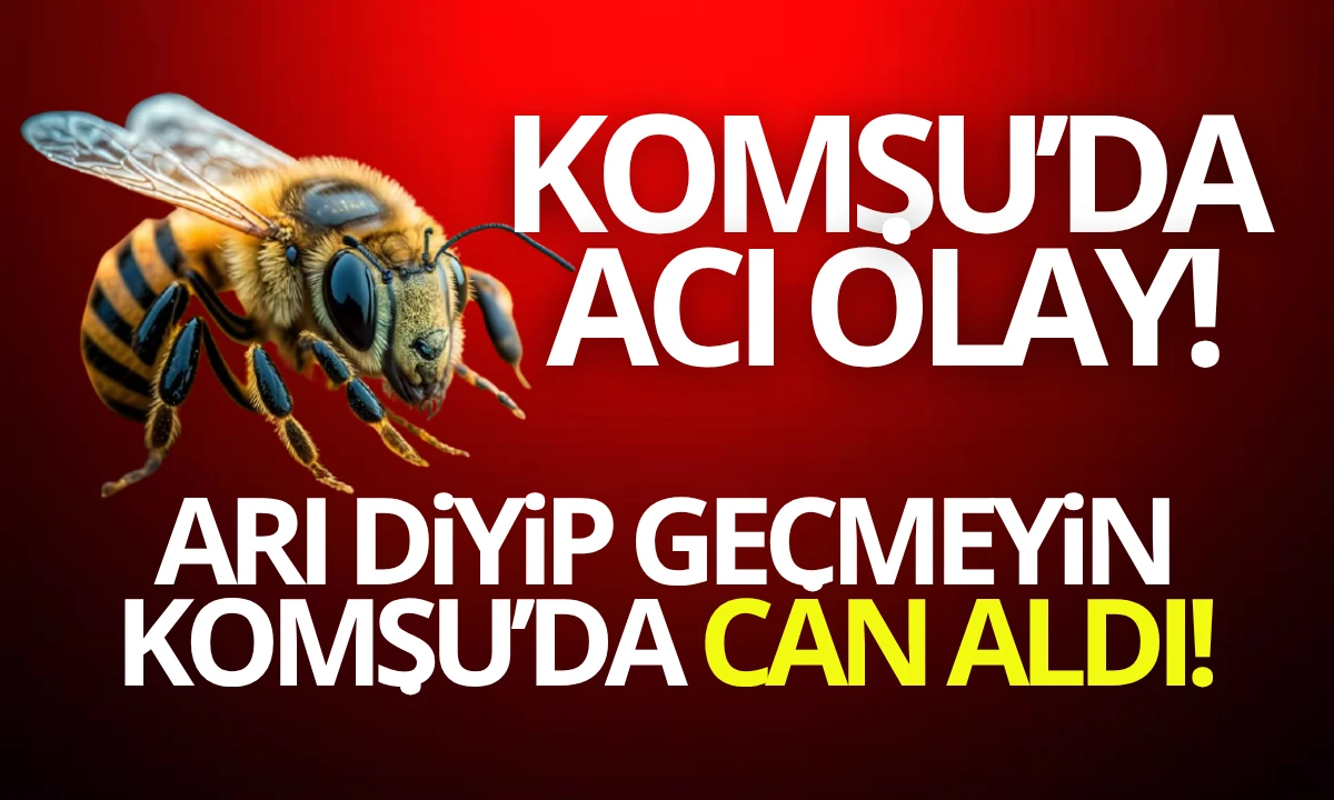 Komşu'da Arı can aldı! Arı diyip geçmeyin
