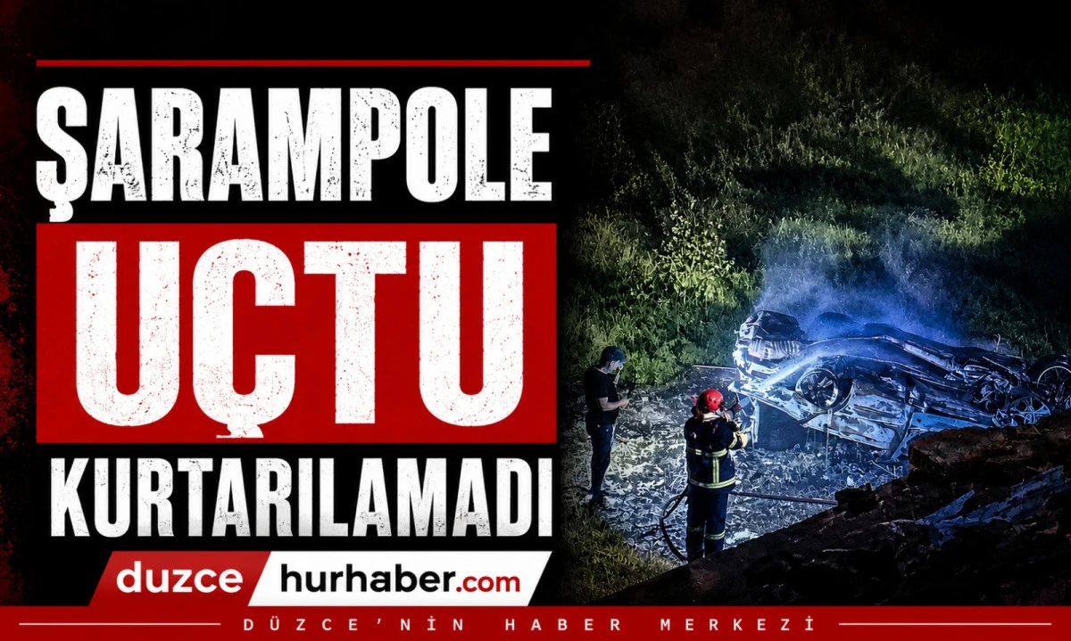 Kontrolden &Ccedil;ıkan Otomobil Alev Aldı: S&uuml;r&uuml;c&uuml; Hayatını Kaybetti