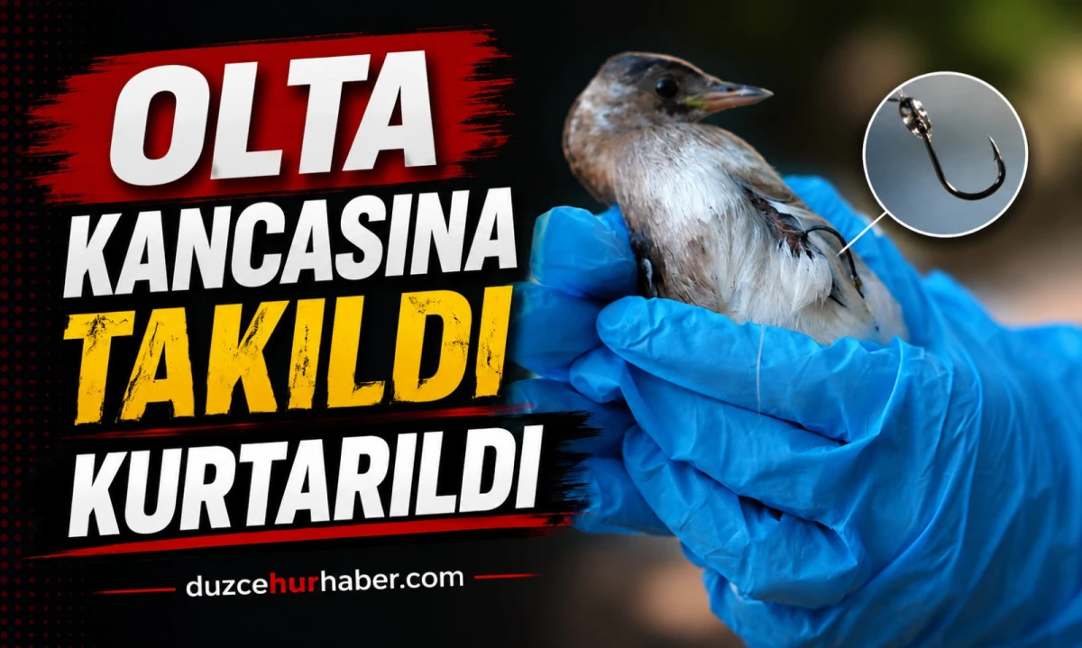 Korug&ouml;l'de olta kancasına takılan k&uuml;&ccedil;&uuml;k batağan kurtarıldı