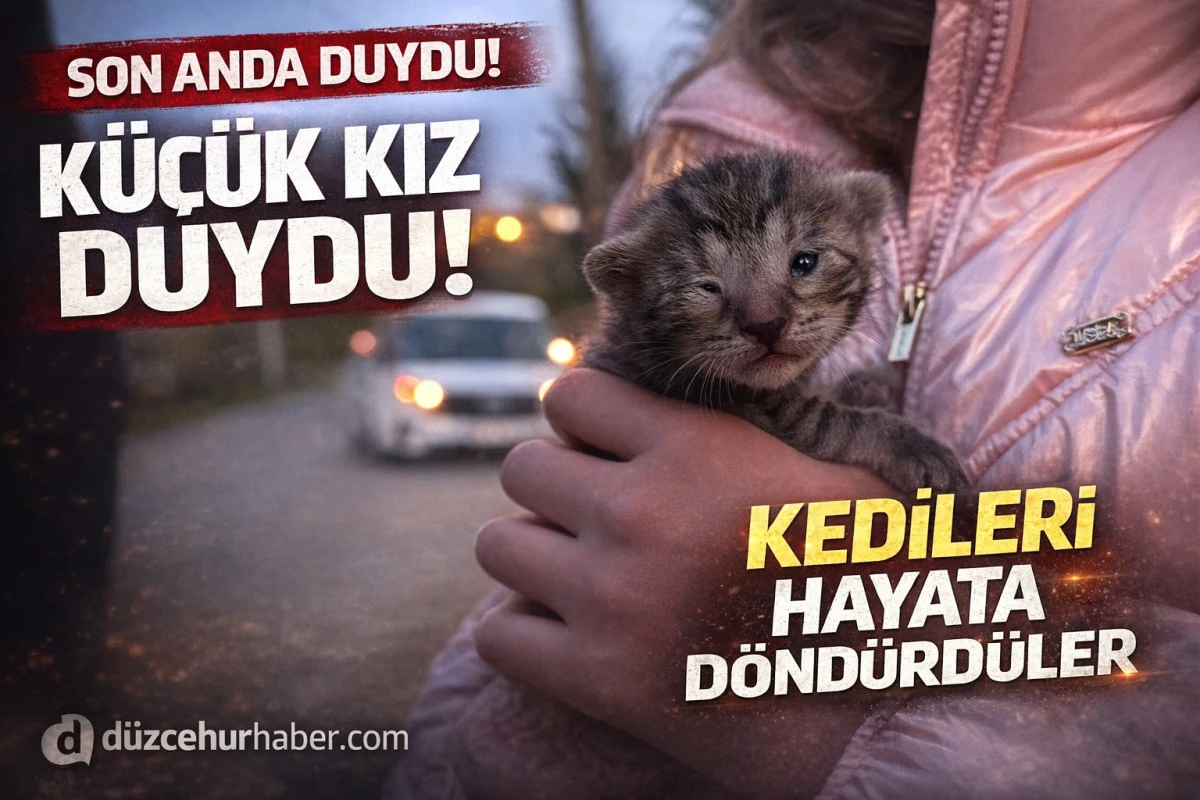 K&uuml;&ccedil;&uuml;k Kız Duydu, İtfaiye Yetişti! D&uuml;zce&rsquo;de Yavru Kediler Hayata D&ouml;nd&uuml;r&uuml;ld&uuml;