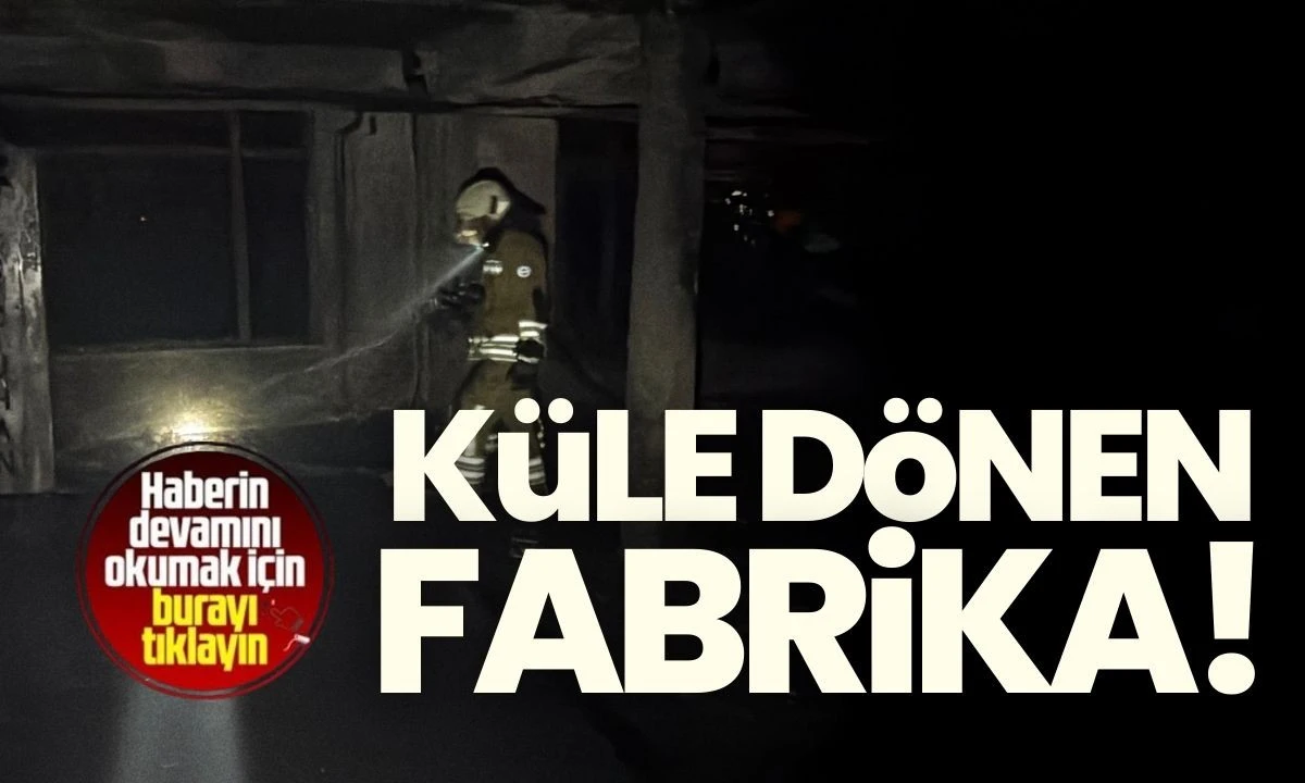 K&uuml;le &Ccedil;evrilen Fabrika: D&uuml;zce İ&ccedil; G&ouml;r&uuml;nt&uuml;