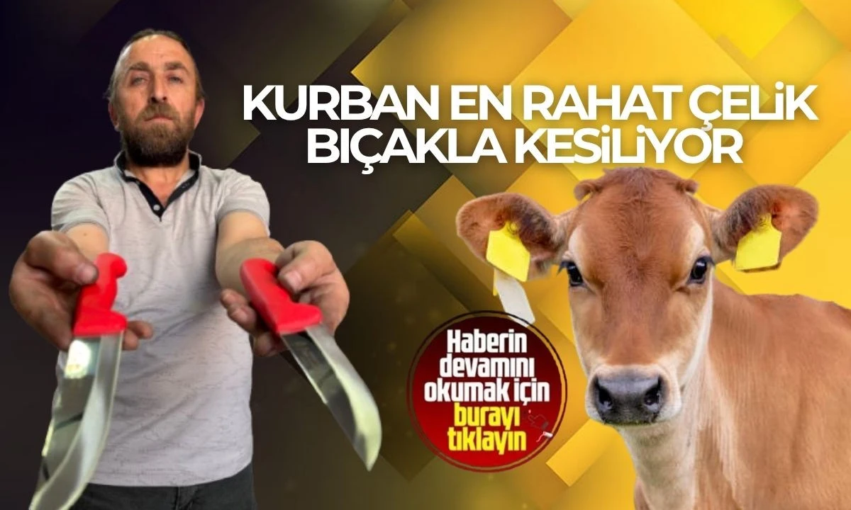 Kurban bayramında hangi bıçakların kullanılması gerektiğini uzmanı açıkladı