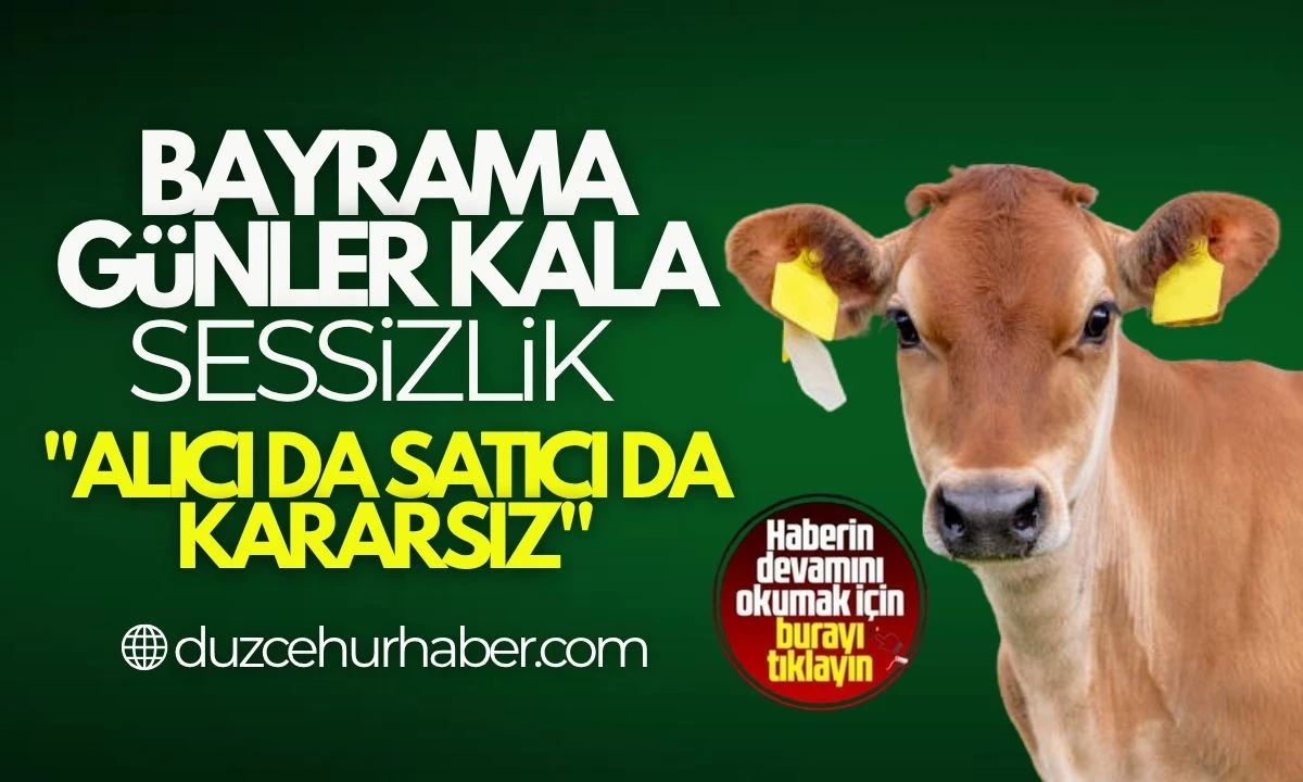 Kurbanlık 2025 Yılı Fiyatları belli oldu! "Alıcı da satıcı da kararsız"
