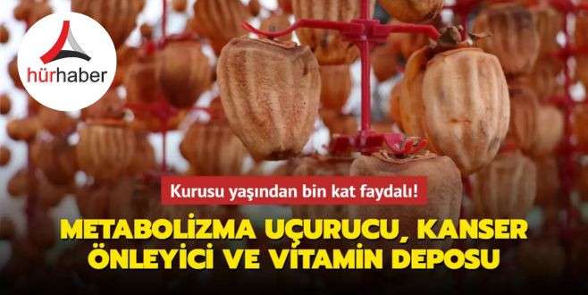 Kurusu yaşından bin kat faydalı! Metabolizma uçurucu, kanser önleyici ve vitamin deposu
