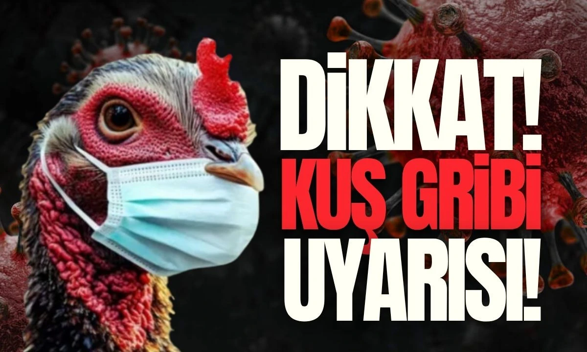 Kuş gribi Uyarısı Dikkat! 