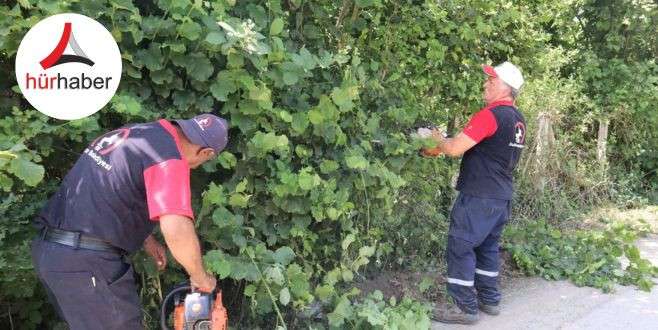 Mahalle olan bölgelerde hummalı çalışma