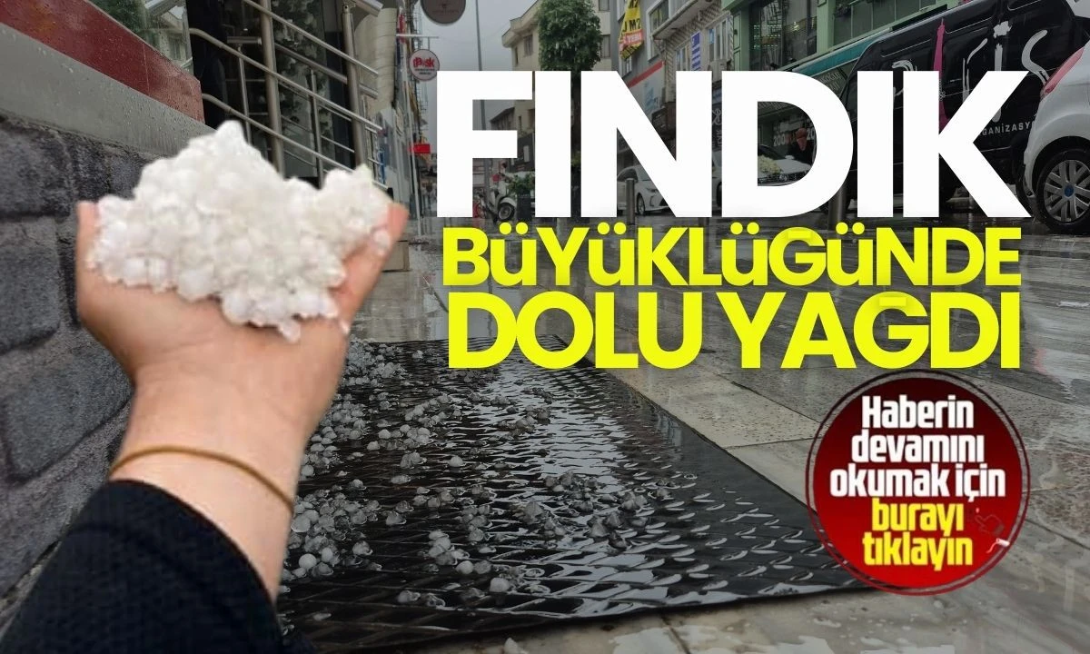 Mayıs Ayında dolu yağdı! 