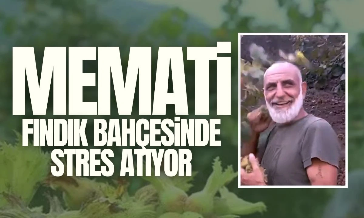 Memati Fındık bahçesinde stres atıyor