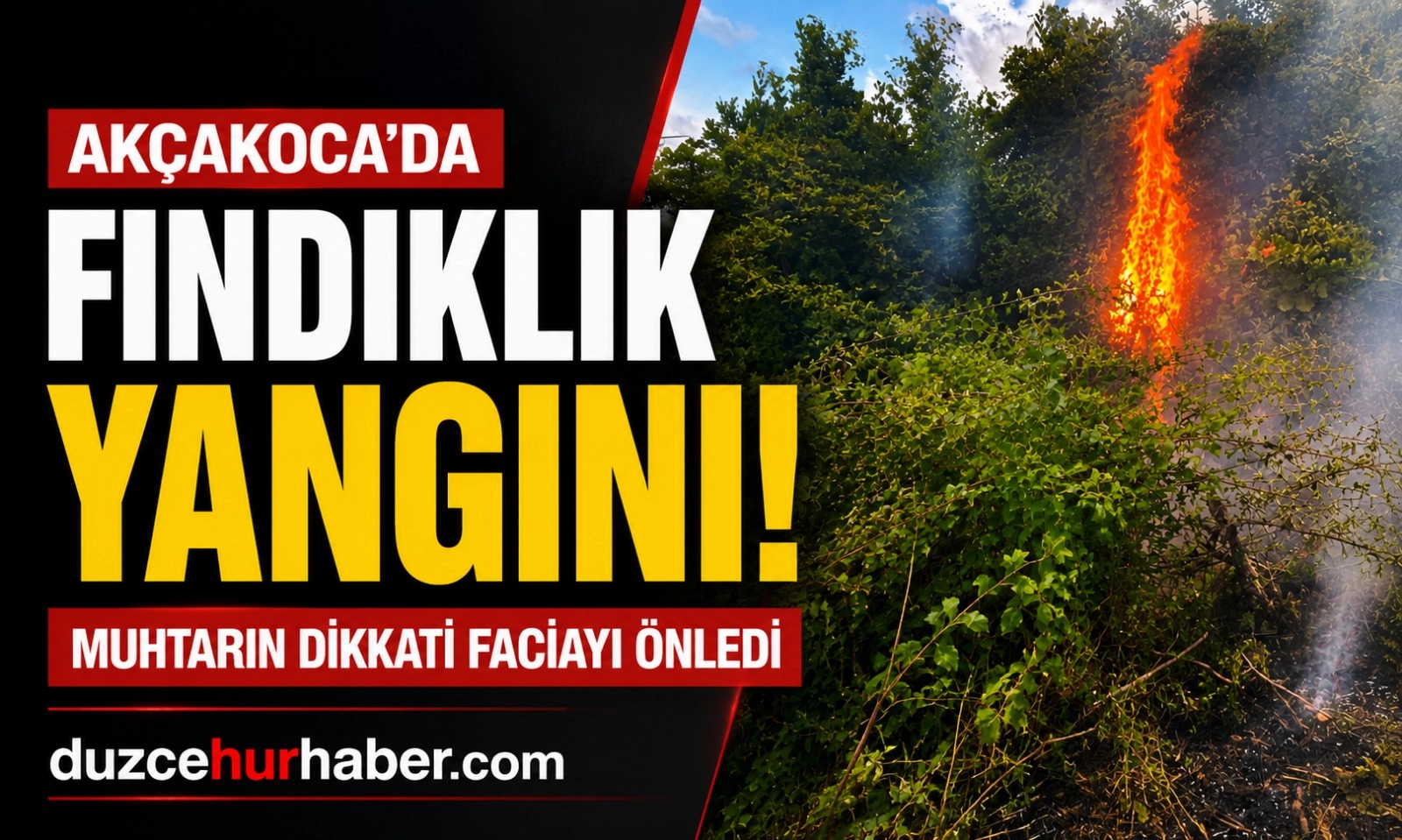 Muhtarın Erken M&uuml;dahalesi Yangını B&uuml;y&uuml;meden Durdurdu