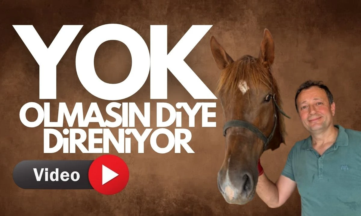 Nalbant Mesleği: Zorluklar ve Yeni Ustalar