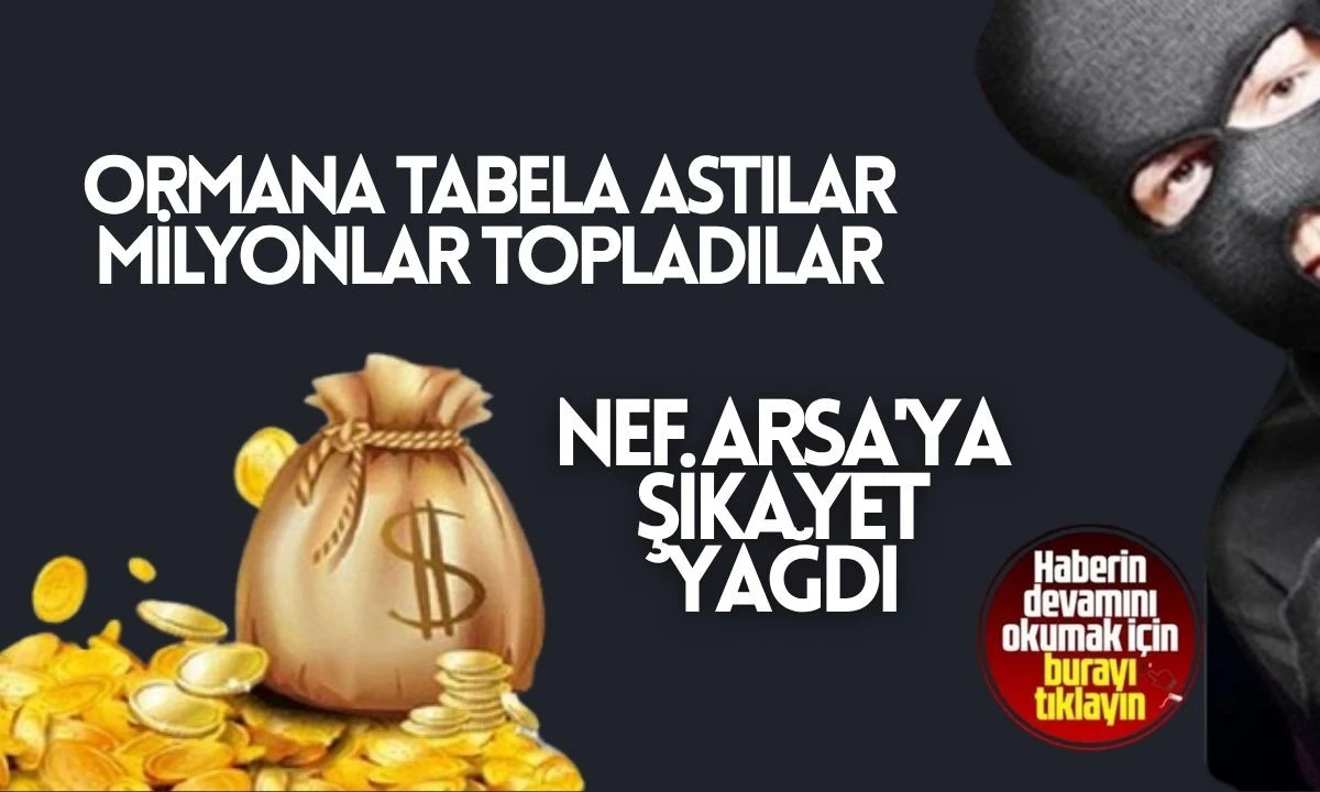 Nef Arsa'ya şikayet yağdı: Ormana tabela astılar milyonlar topladılar