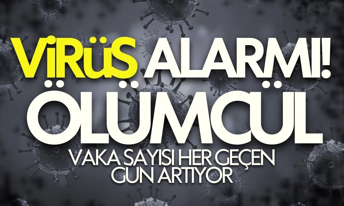 &Ouml;l&uuml;mc&uuml;l vir&uuml;s alarmı!B&ouml;lgede panik b&uuml;y&uuml;yor. 
