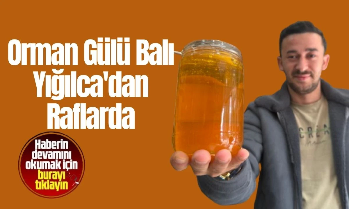 Orman Gülü Balı Yığılca'dan Raflarda
