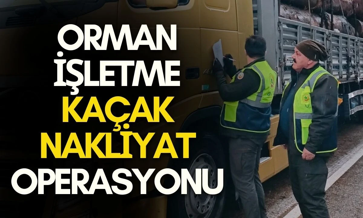 Orman İşletme Ka&ccedil;ak Nakliyat Operasyonu