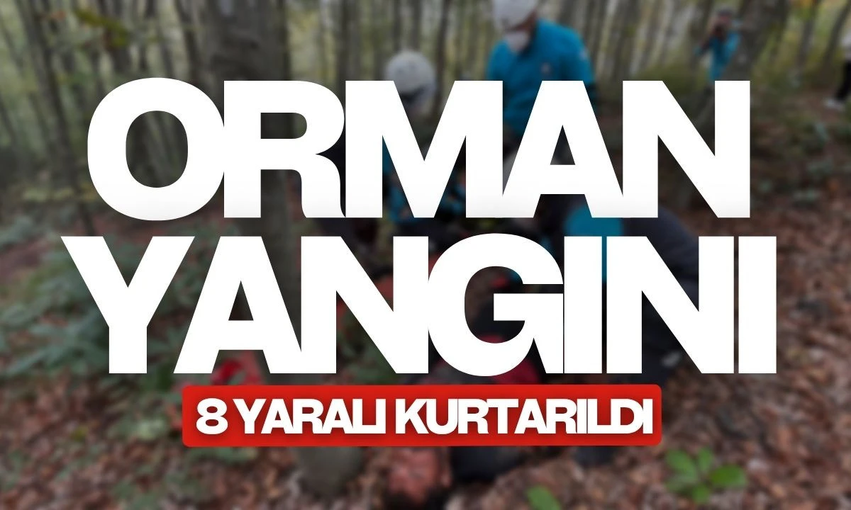 Orman yangını 8 yaralı kurtarıldı