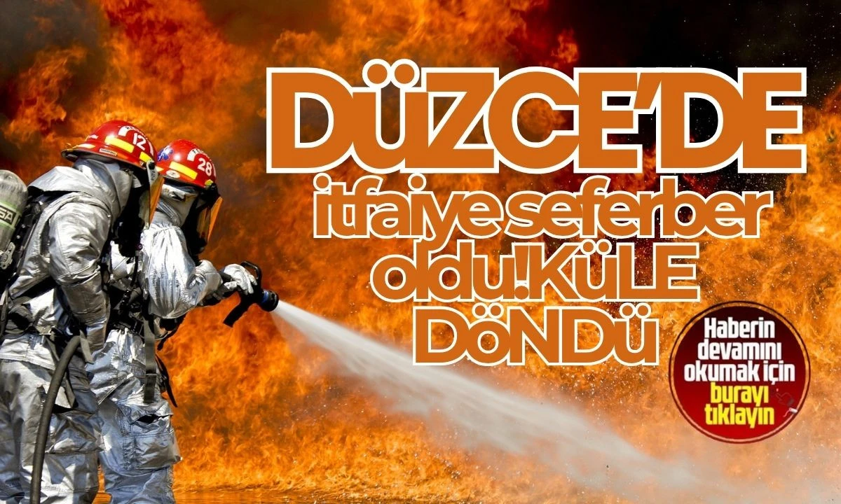 Ormana sıçradı, 20 dönüm alan yandı