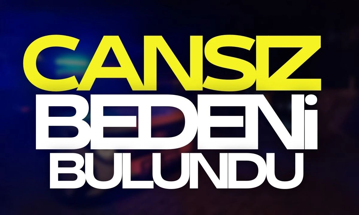 Ormanda Kayıp Cesedi