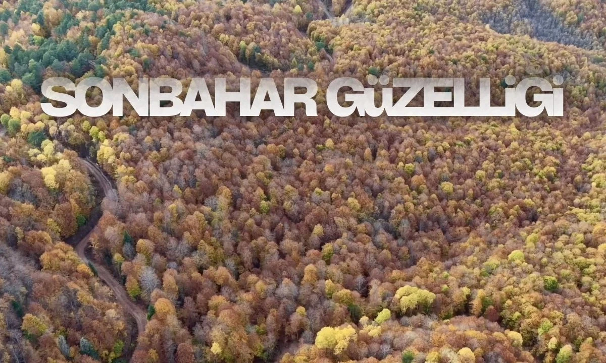Ormanlık alanlarda sonbahar güzelliği