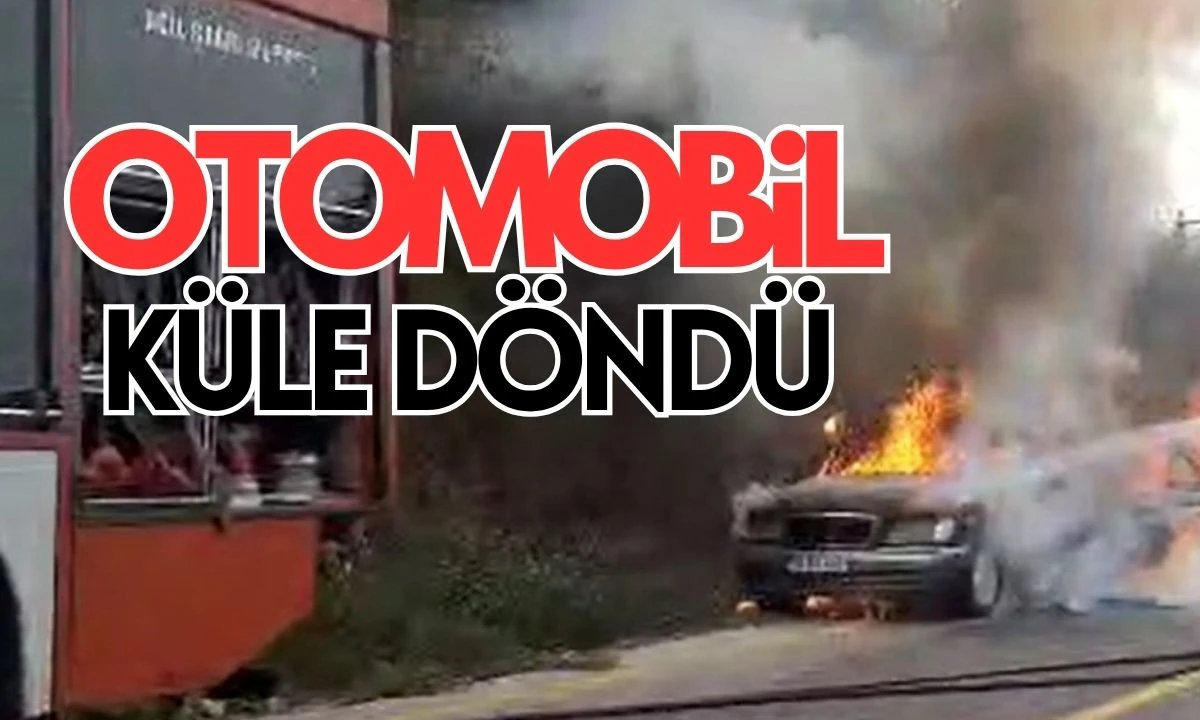 Otomobil alevlere teslim oldu