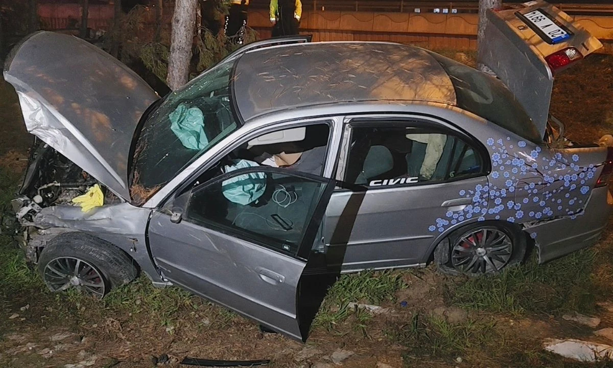 Otomobil, direk ve ağaçlara çarptı: 1 yaralı