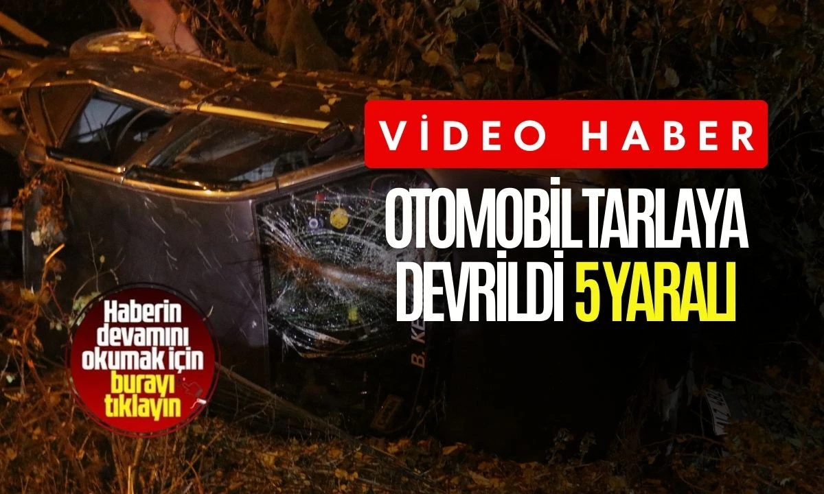 Otomobil tarlaya devrildi: 5 yaralı