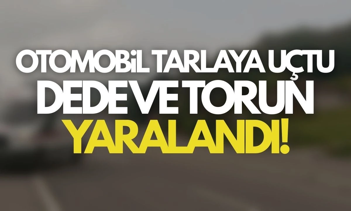 Otomobil tarlaya uçtu, dede ve iki torunu yaralandı