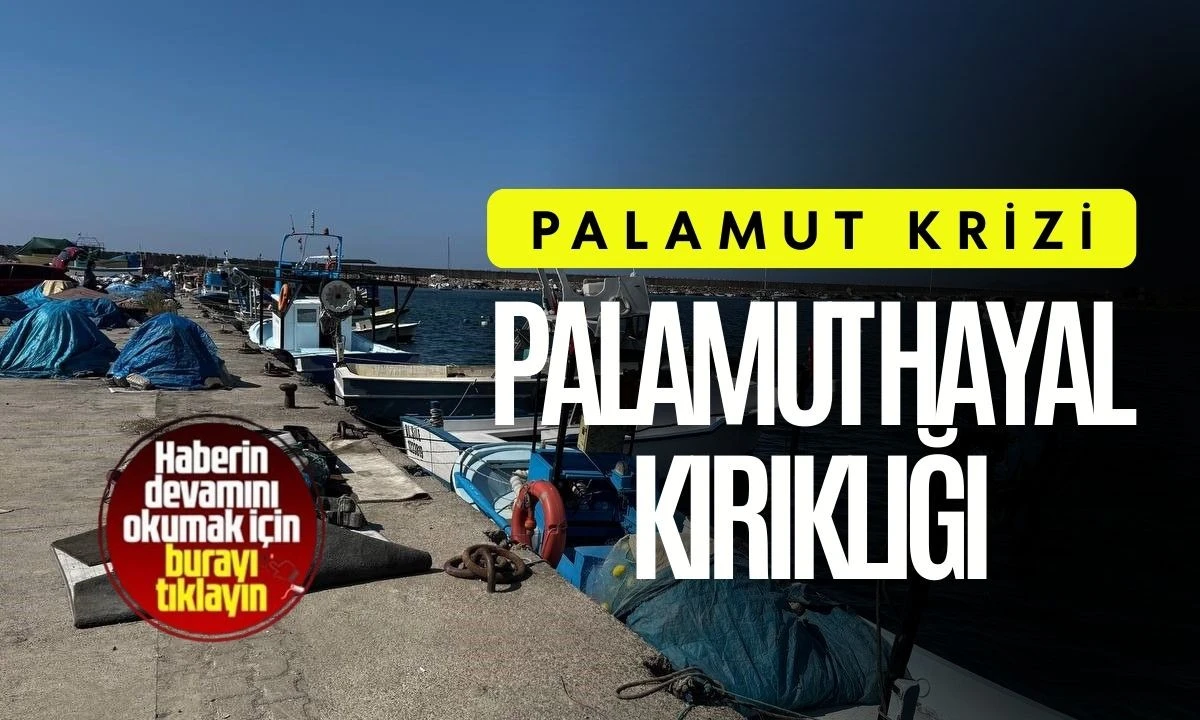 Palamut Krizi: Deniz Boş