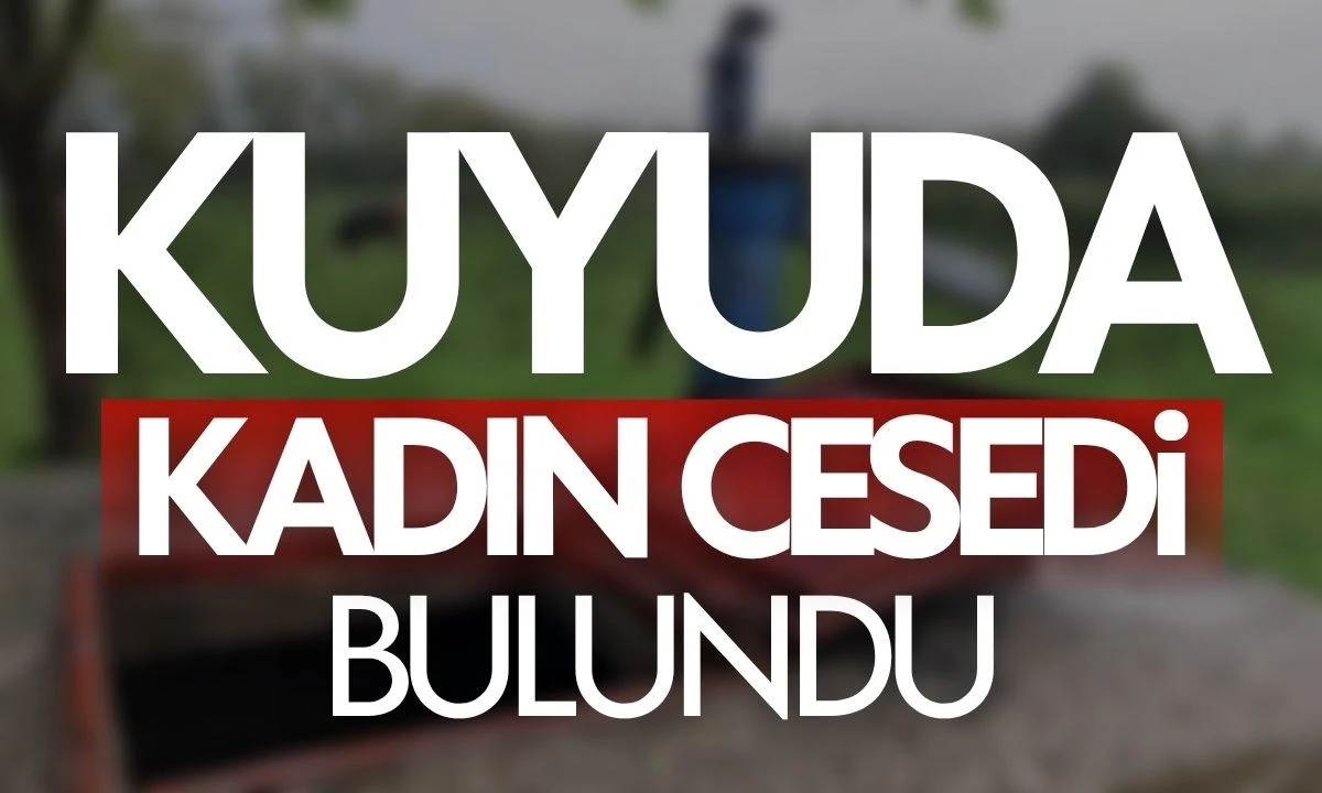 Perşembe'de Su Kuyusunda Kadın Ceset Olayı