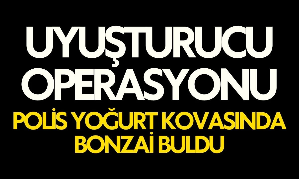 Polis Yoğurt Kovasında Bonzai Buldu