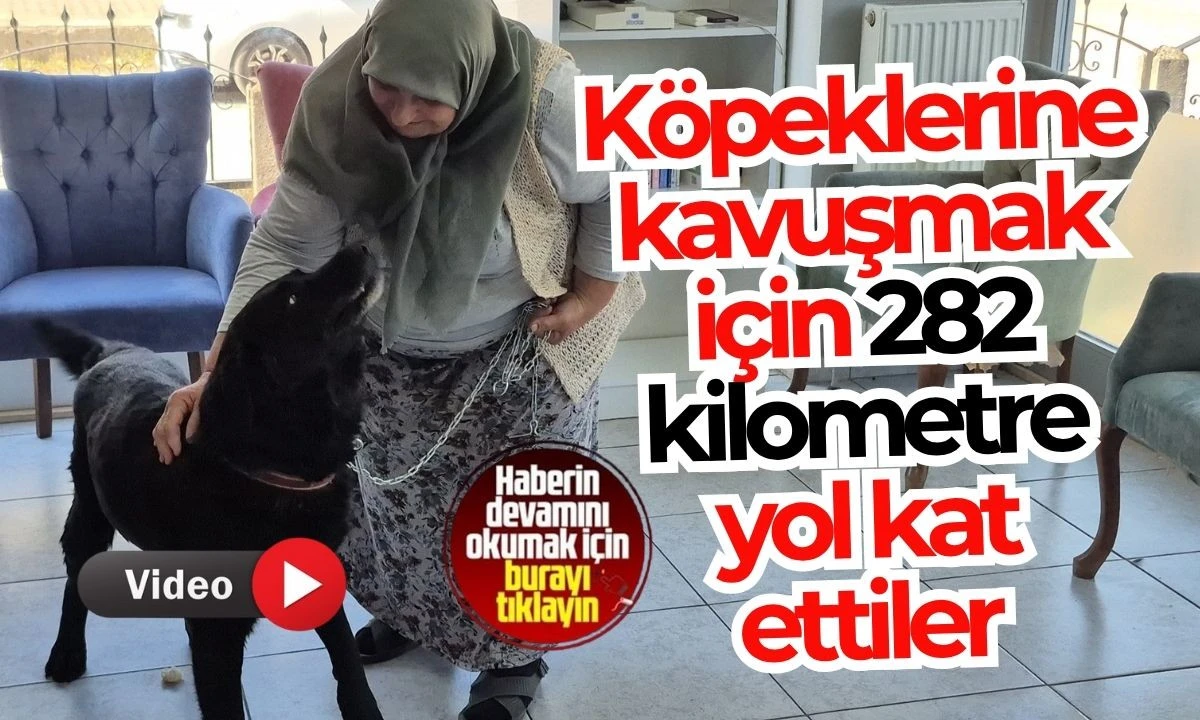 Pufi ve ailesinin bir yıllık ayrılıktan sonra duygusal buluşması