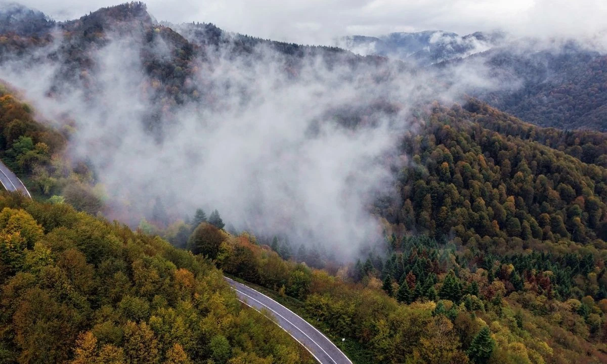 Renk cümbüşü sisle buluştu
