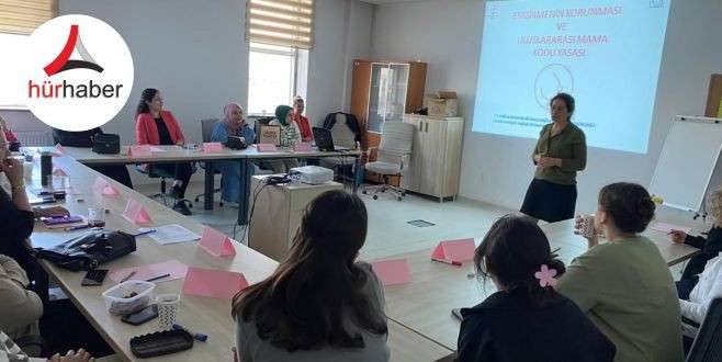 Sağlık&ccedil;ılara anne s&uuml;t&uuml; ve emzirme danışmanlığı eğitimi