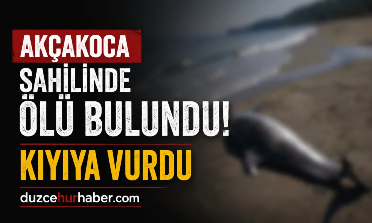 Sahilde &Uuml;zen G&ouml;r&uuml;nt&uuml;
