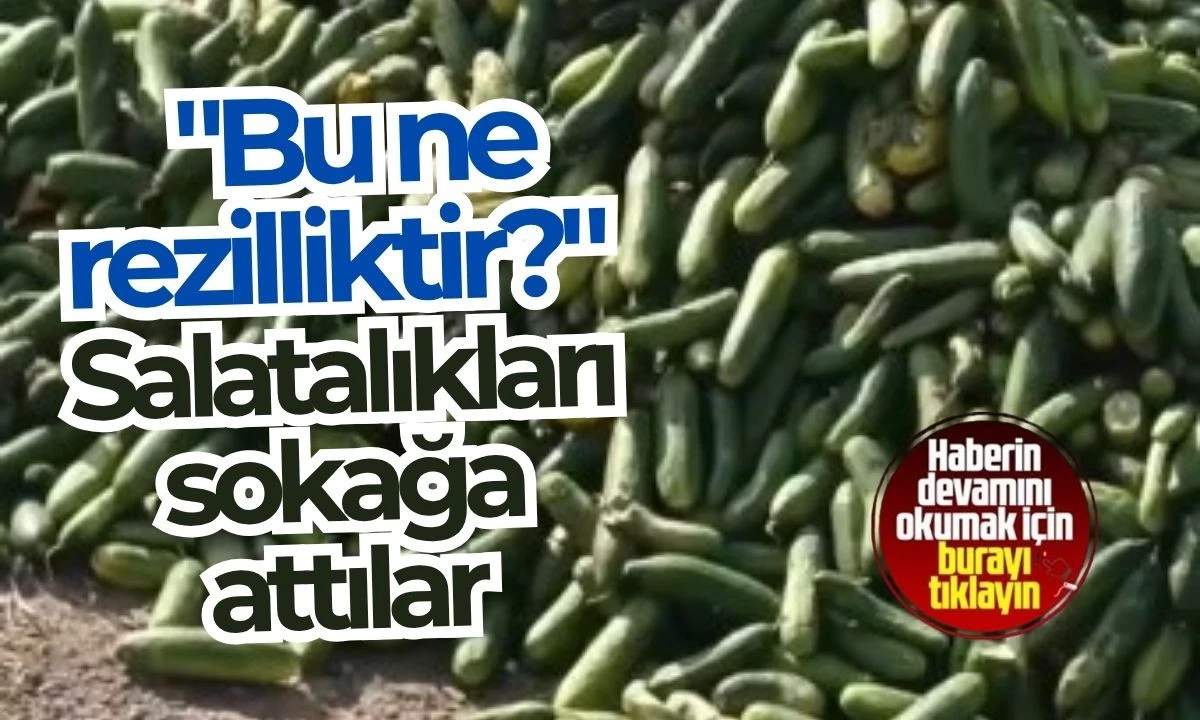 Salatalık Boş Araziye Atıldı, Vatandaş Kamerada Tepki Gösterdi