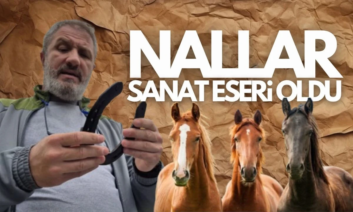 Şampiyon atların nalları artık duvarları süslüyor