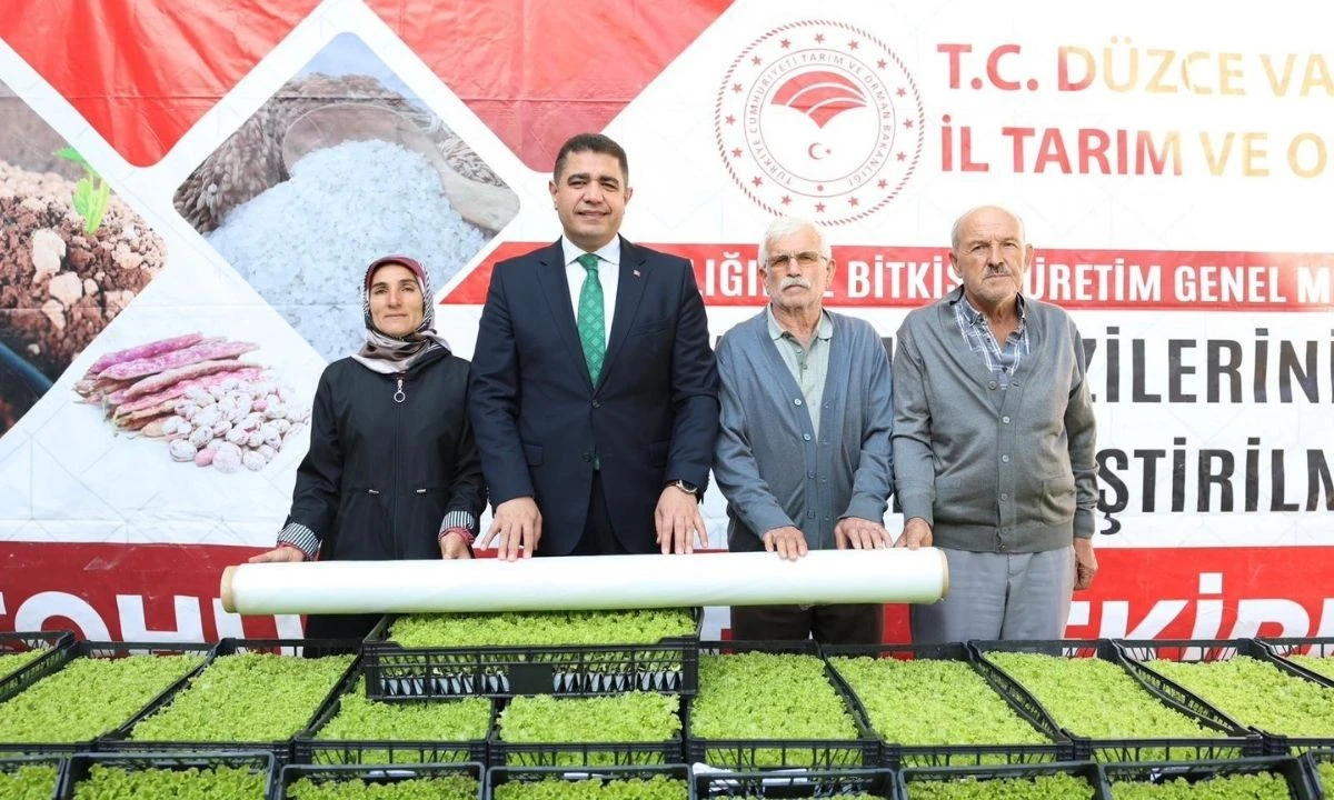 Sertifikalı marul fidesi dağıtıldı