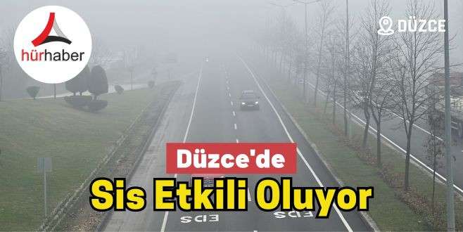 Sis etkili oluyor