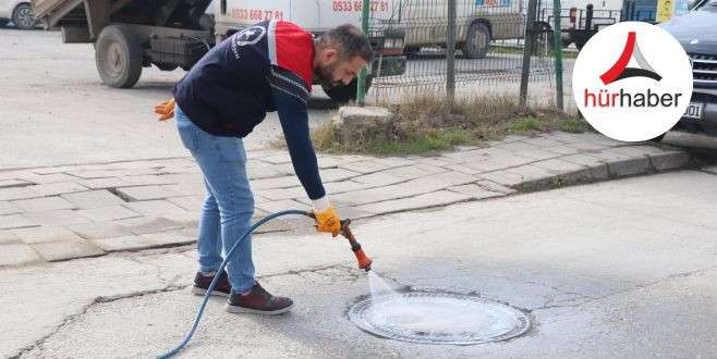 Sivrisinek ve haşere ile mücadele