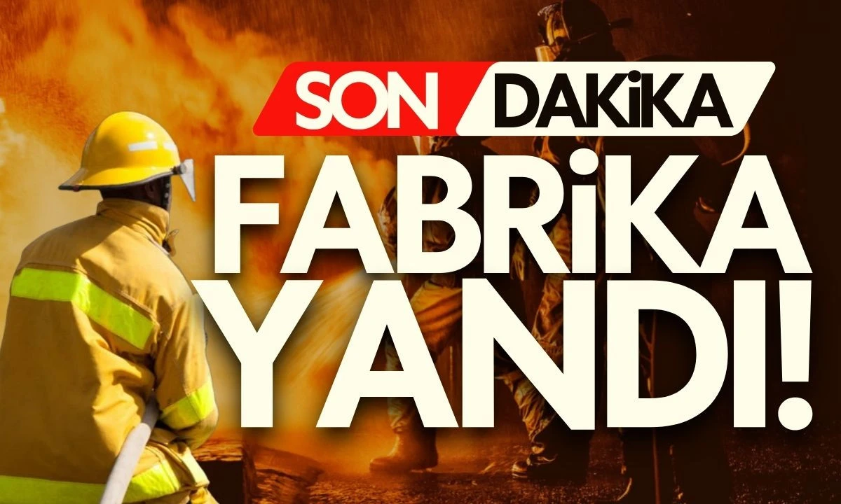 Strafor &Uuml;retim Fabrikası Alevler İ&ccedil;inde: Yol Kapatıldı