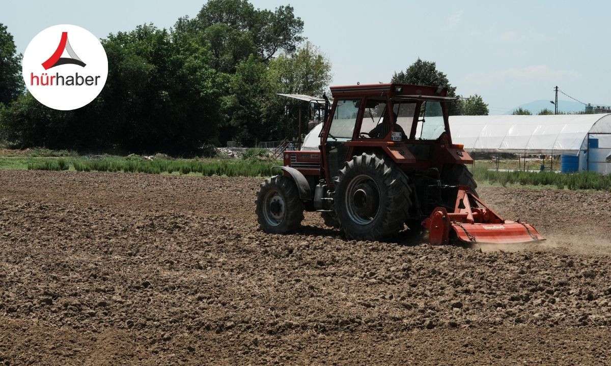 Süs bitkisi üretim serası kuruluyor