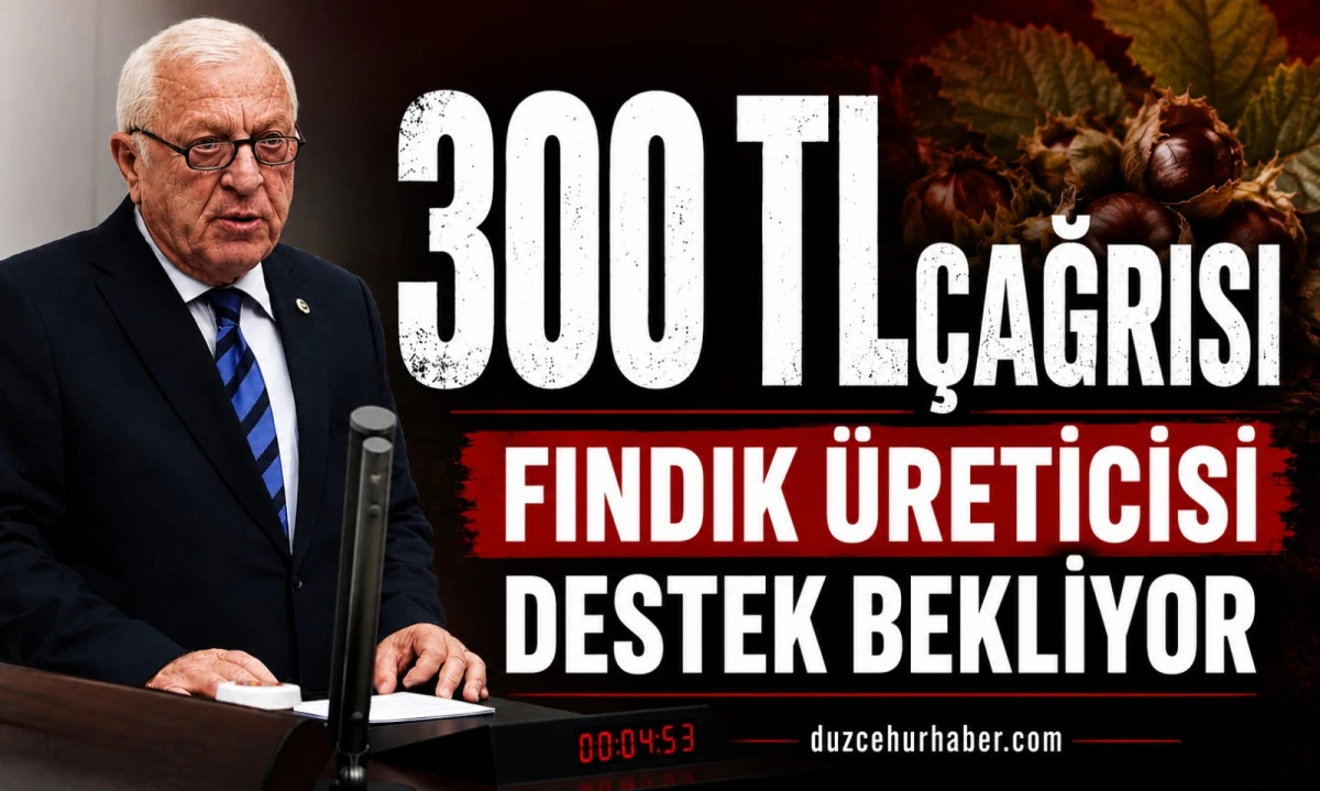 Talih &Ouml;zcan&rsquo;dan Fındık &Ccedil;ağrısı: TMO En Az 300 TL&rsquo;den Alım Yapmalı